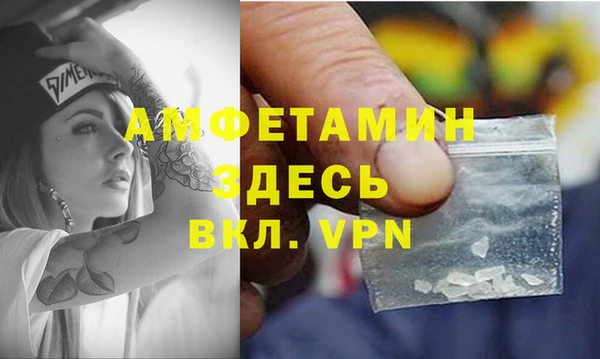 мдпв Дмитриев