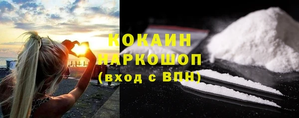 мдпв Дмитриев