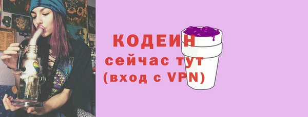 амф Дмитров